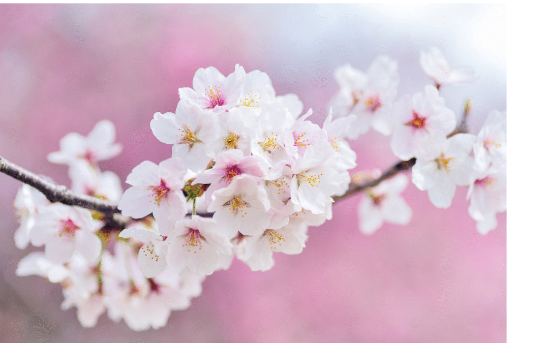 Primavera: el mejor momento para revisar tu sistema de climatización