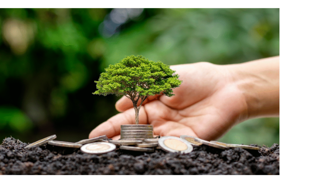 Calderas eficientes: qué modelos consumen menos y son más sostenibles